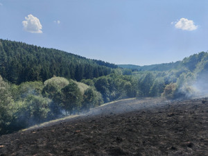 Výstraha před požáry stále platí, přesto lidé v lese stále rozdělávají oheň