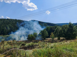 Výstraha před požáry stále platí, přesto lidé v lese stále rozdělávají oheň