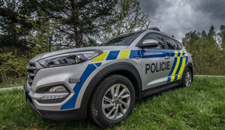 Pachatel na zahradě pokácel stromy a dva odnesl. Policie případ bleskově objasnila