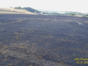 Požár na Tachovsku