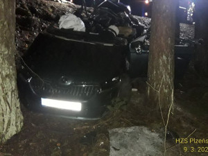 FOTOGALERIE: Nehody na lzeňsku