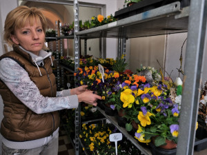 FOTOGALERIE: Uzavřené květinářství v Blovicích