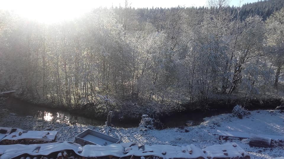 Šumava