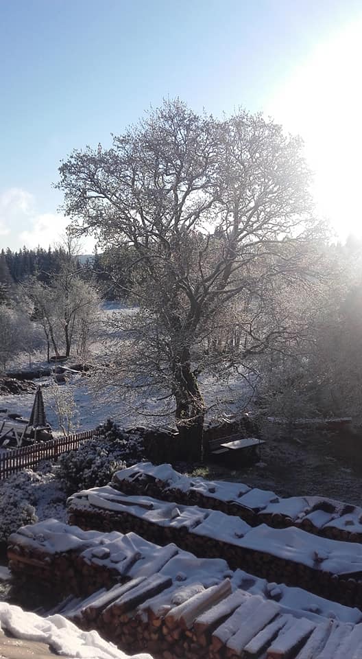 Šumava