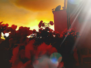 Autor: Pražanda Blond