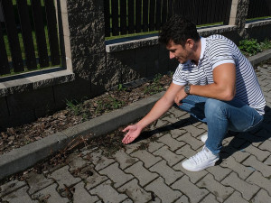 FOTOGALERIE: Ekologická likvidace plevele