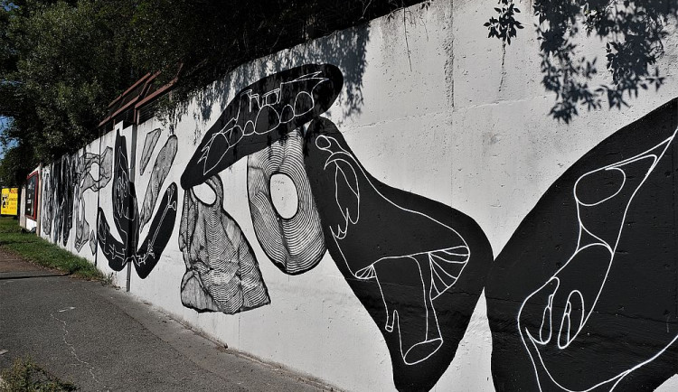 FOTOGALERIE: Street Art festival WALLZ 2020