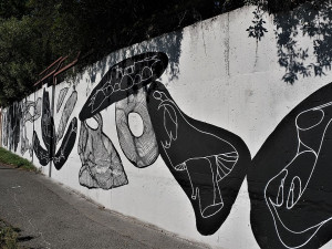 FOTOGALERIE: Street Art festival WALLZ
