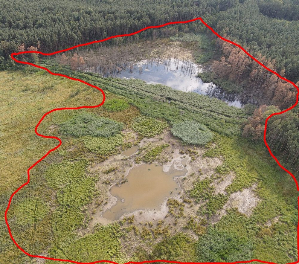 FOTOGALERIE: Zničené bobří hráze u Nýřan a jejich následná oprava