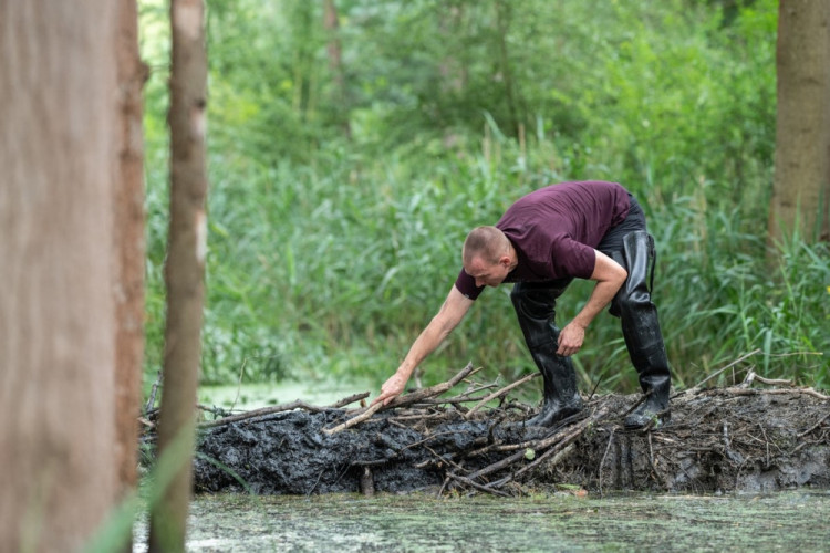 FOTOGALERIE: Zničené bobří hráze u Nýřan a jejich následná oprava