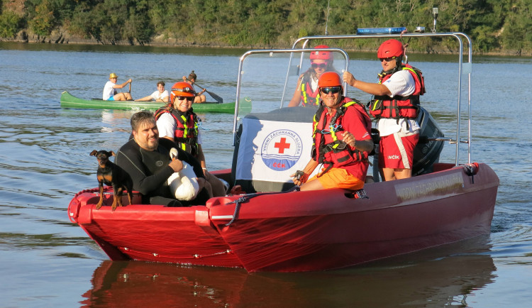 FOTOGALERIE: Labutě zraňují rybářské háčky a vlasce