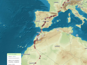 FOTOGALERIE: Čáp Kryštof cestuje do Afriky