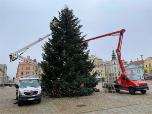 FOTOGALERIE: Zdobení vánočního stromu