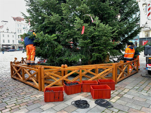FOTOGALERIE: Zdobení vánočního stromu