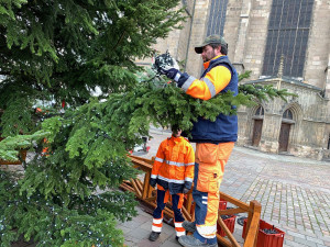 FOTOGALERIE: Zdobení vánočního stromu