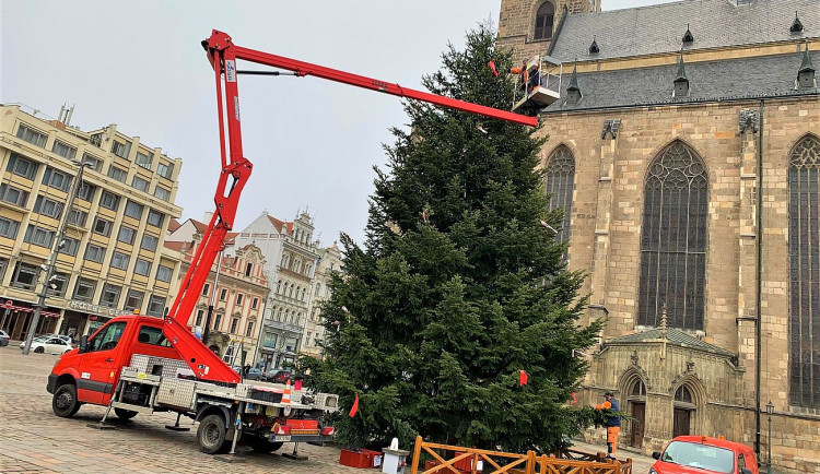 FOTOGALERIE: Zdobení vánočního stromu