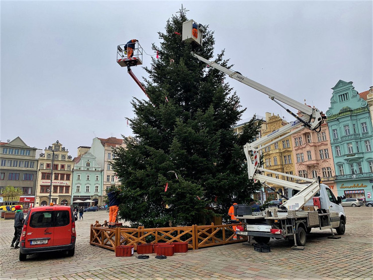 FOTOGALERIE: Zdobení vánočního stromu
