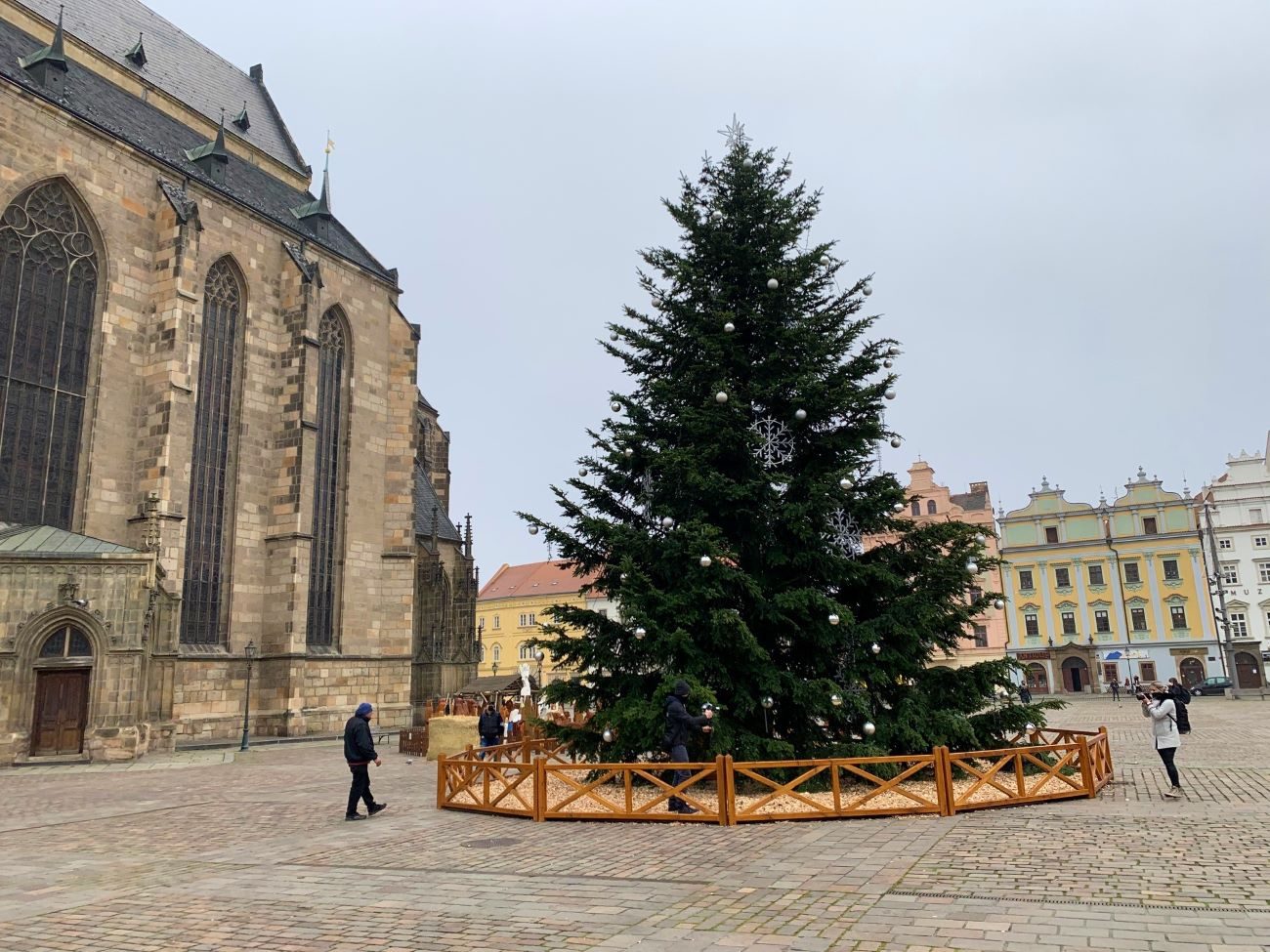 FOTOGALERIE: Vánoční strom
