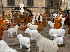 FOTOGALERIE: Vánoční strom