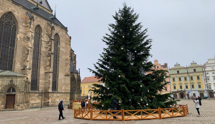 FOTOGALERIE: Vánoční strom