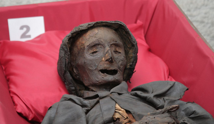 FOTOGALERIE: Klatovské katakomby, stěhování mumií 2011