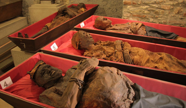 FOTOGALERIE: Klatovské katakomby, stěhování mumií 2011