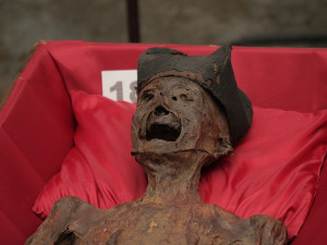 FOTOGALERIE: Klatovské katakomby, stěhování mumií 2011