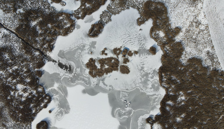 FOTOGALERIE: Sekání rákosu na zamrzlém rybníku