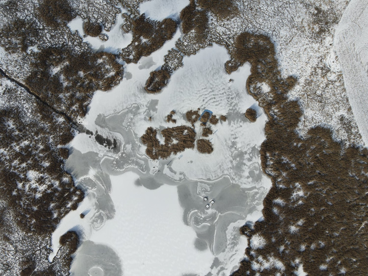 FOTOGALERIE: Sekání rákosu na zamrzlém rybníku