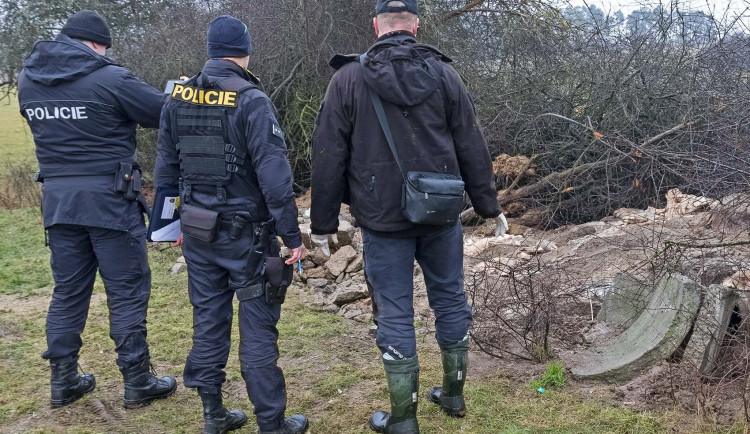 FOTOGALERIE: Otrava orlů mořských