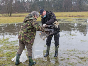 FOTOGALERIE: Otrava orlů mořských