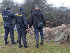 FOTOGALERIE: Otrava orlů mořských