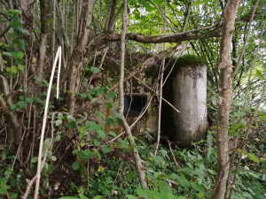 Když nemají školu, čistí bunkry