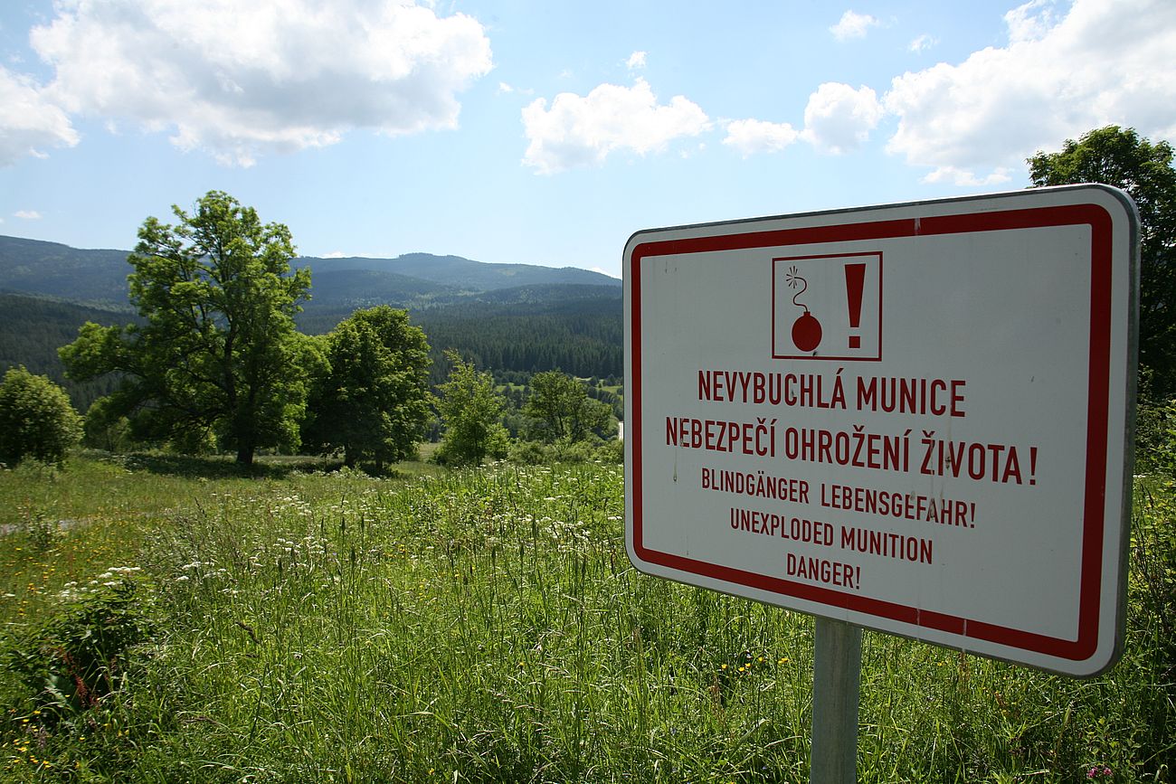 FOTOGALERIE: NP Šumava