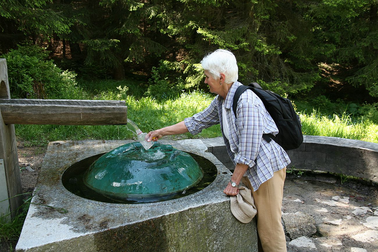 FOTOGALERIE: NP Šumava