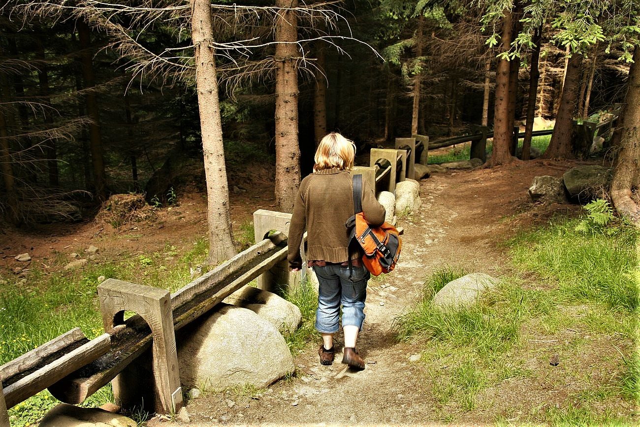 FOTOGALERIE: NP Šumava