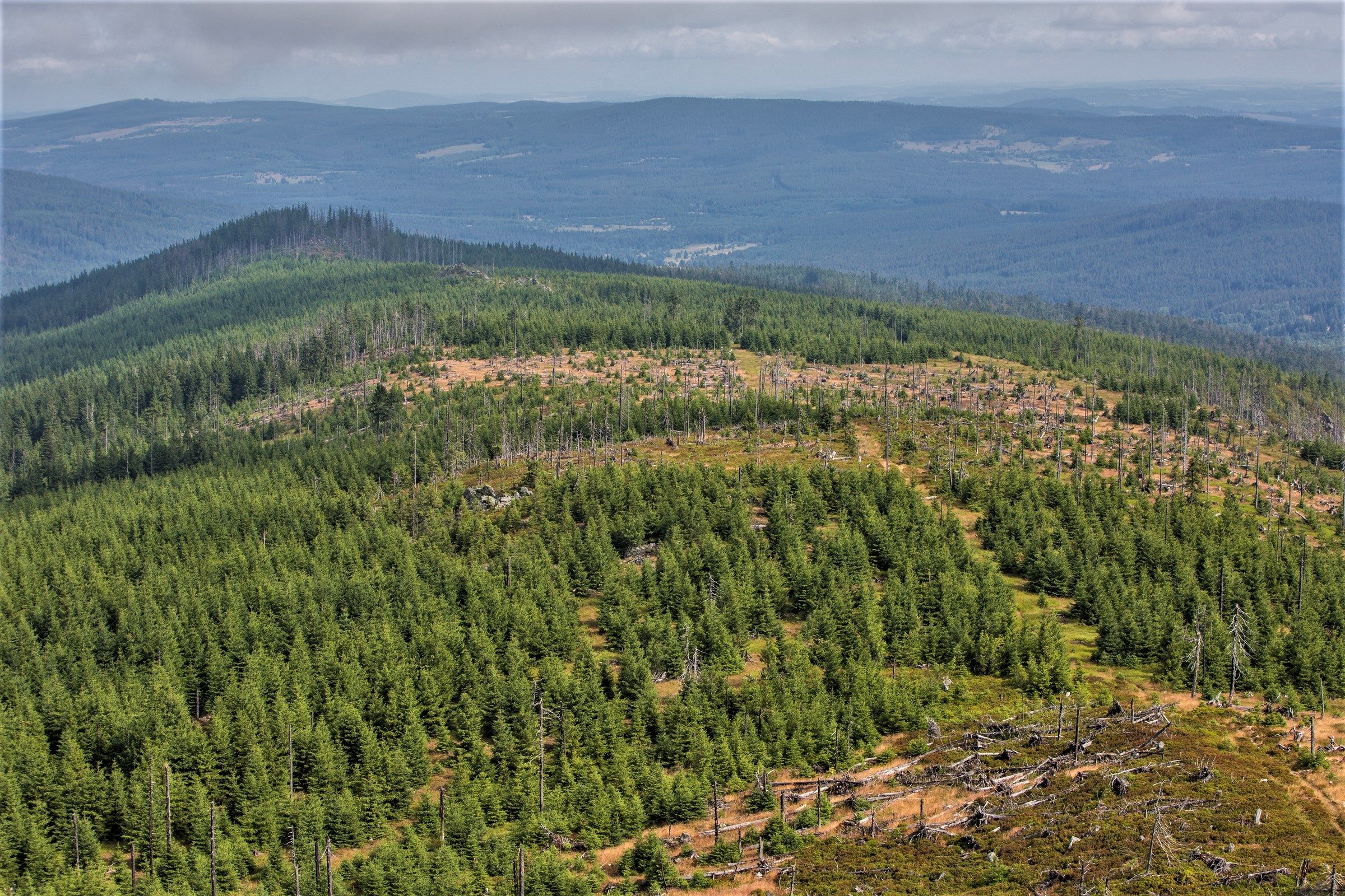 FOTOGALERIE: NP Šumava