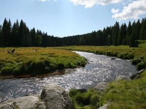 FOTOGALERIE: NP Šumava