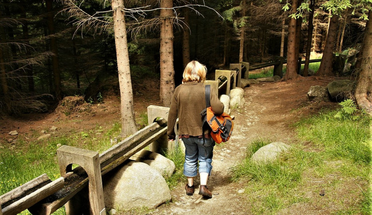 FOTOGALERIE: NP Šumava