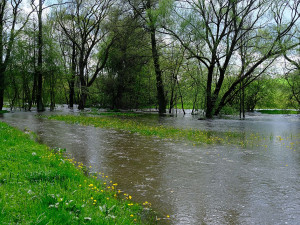 FOTOGALERIE: Třetí stupeň na Úslavě v obci Prádlo