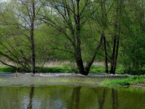 FOTOGALERIE: Třetí stupeň na Úslavě v obci Prádlo