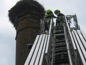 FOTOGALERIE: Záchrana čápů a kroužkování