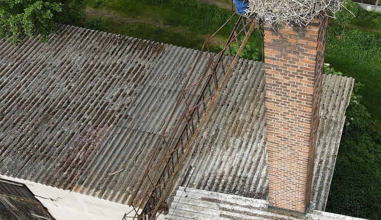 FOTOGALERIE: Záchrana čápů a kroužkování