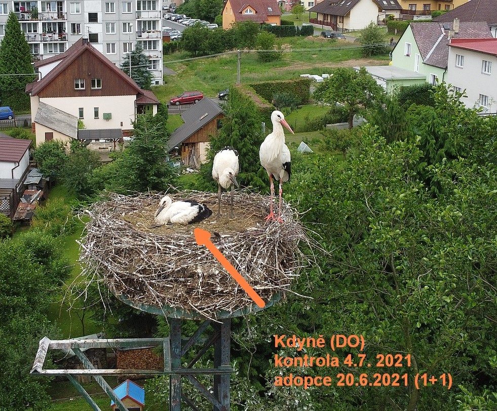 FOTOGALERIE: Kroužkování čápů 2021