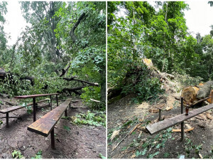 FOTOGALERIE: Následky bouře