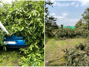 FOTOGALERIE: Následky bouře