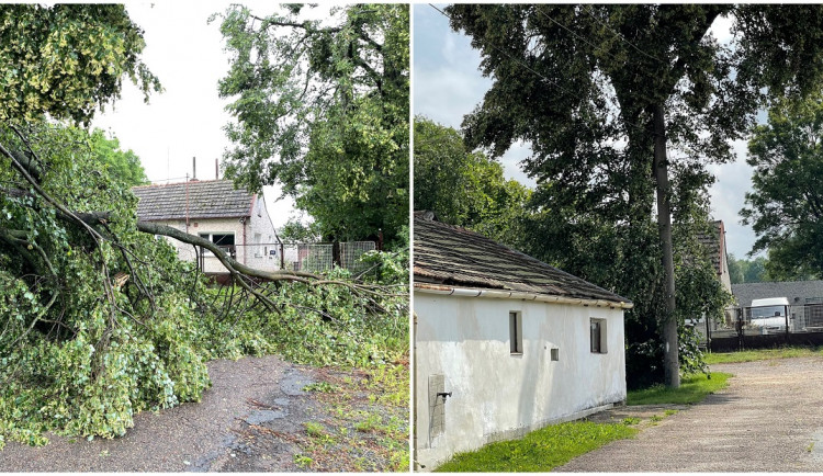 FOTOGALERIE: Následky bouře