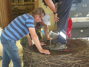 FOTOGALERIE: Výrova čapího hnízdo pro Národní muzeum Praha