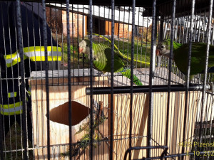 FOTOGALERIE: Požár výrobny briket