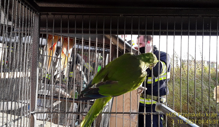 FOTOGALERIE: Požár výrobny briket